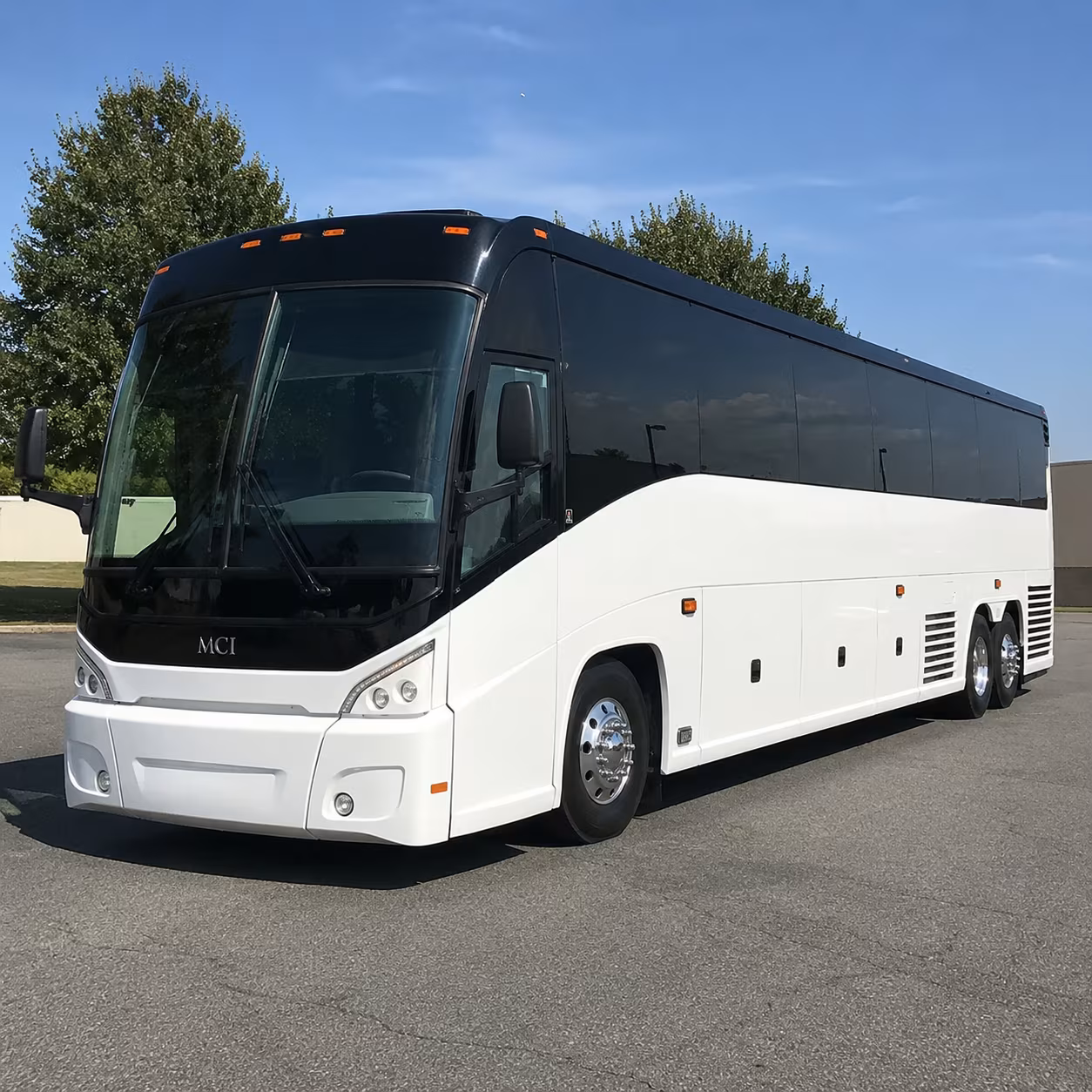 pilgrimage transportation from parma to carey maria stein and beyond